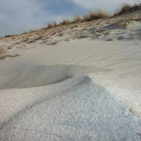 Darsser Weg 34 * Цингст